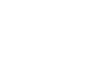 Flame grilled