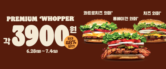 치즈렐라 출시